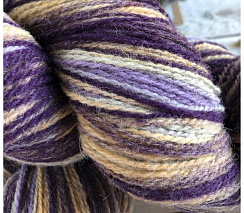 Кауни 8/2 Thomas